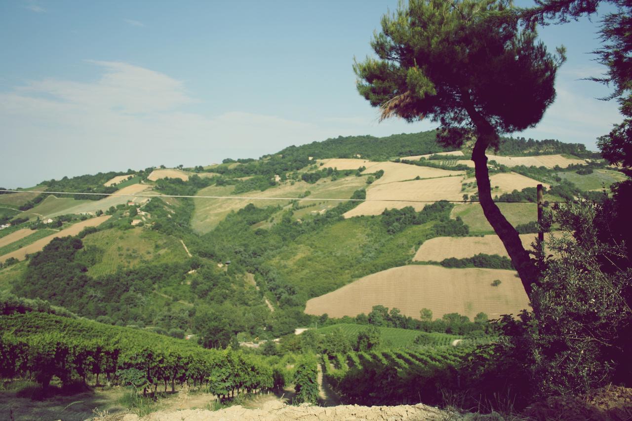 Il Podere Del Nonno Bed and Breakfast Ripatransone Εξωτερικό φωτογραφία