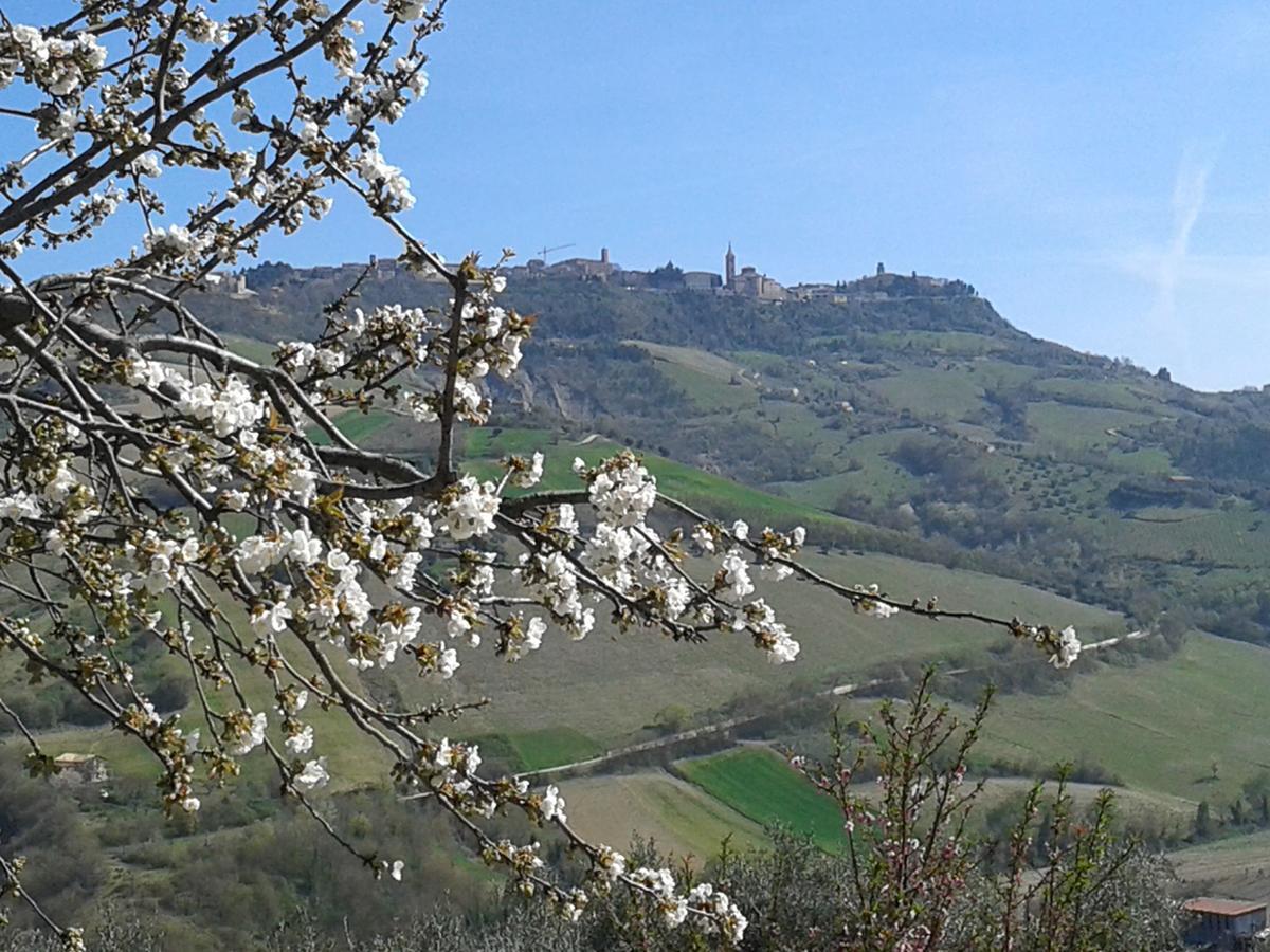 Il Podere Del Nonno Bed and Breakfast Ripatransone Εξωτερικό φωτογραφία